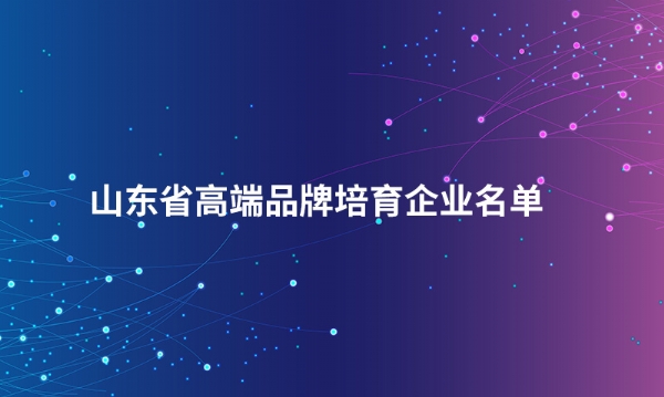 山东三亿（中国）股份有限公司入选“山东省高端品牌培育企业名单”